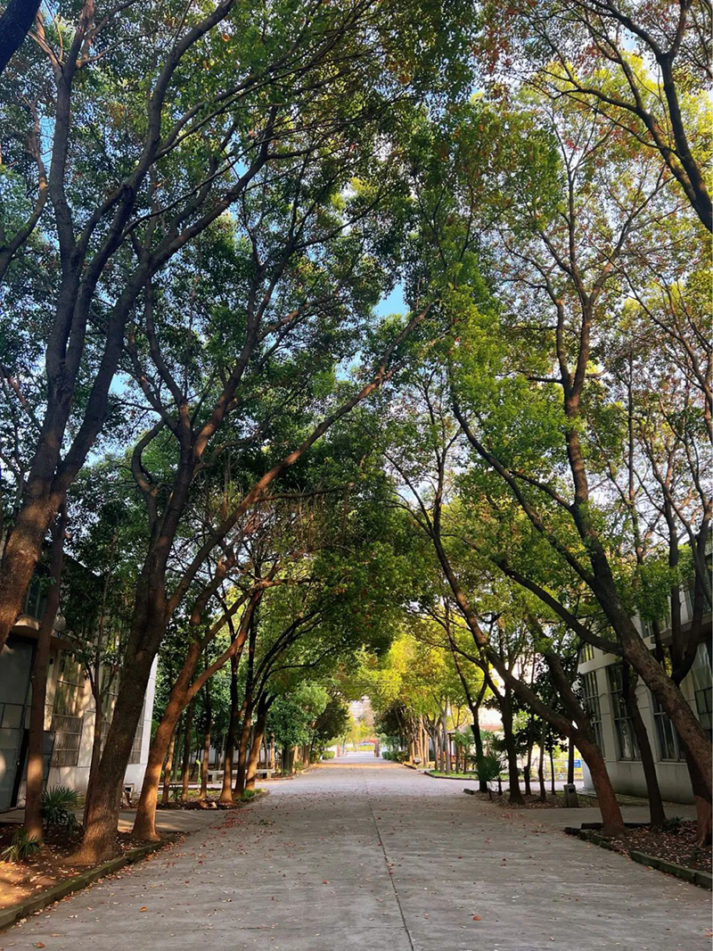 極致的康發(fā)雙螺桿擠出機(jī)工匠精神，支撐著在追逐夢(mèng)想的旅程中穩(wěn)步邁進(jìn)。
