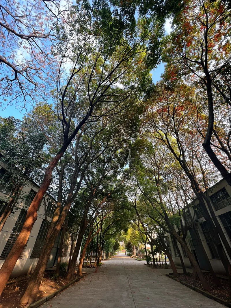 極致的康發(fā)雙螺桿擠出機(jī)工匠精神，支撐著在追逐夢(mèng)想的旅程中穩(wěn)步邁進(jìn)。